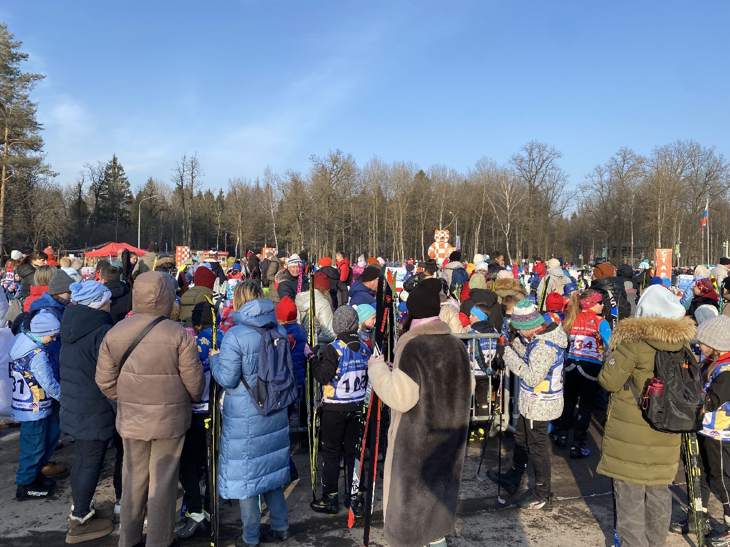 Николай лопухов, вертикалки, Лыжный спорт, Одинцово, Ларисалазутина,