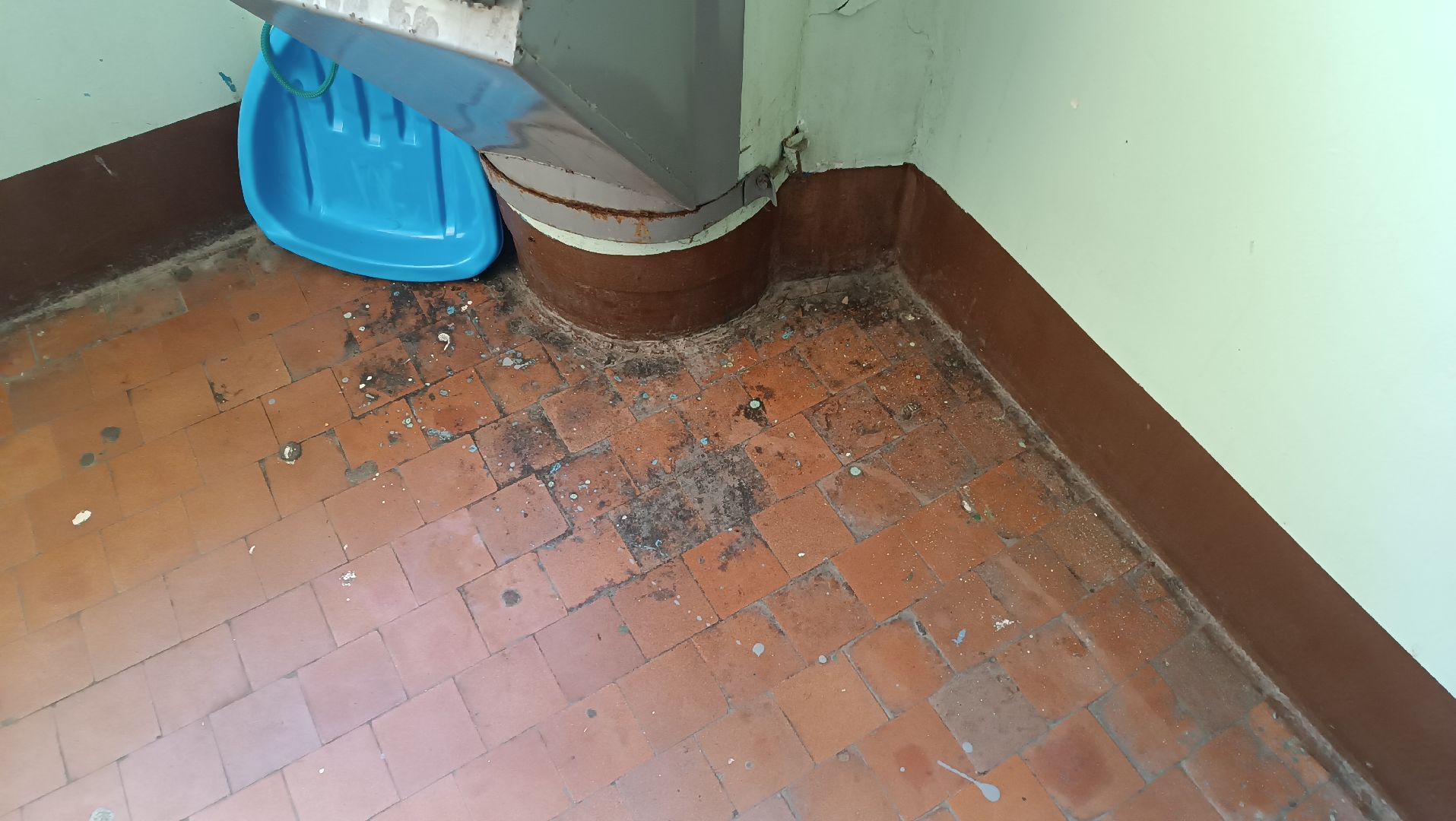 выездная администиация, подъезд, уборка, монино, вертикалки,