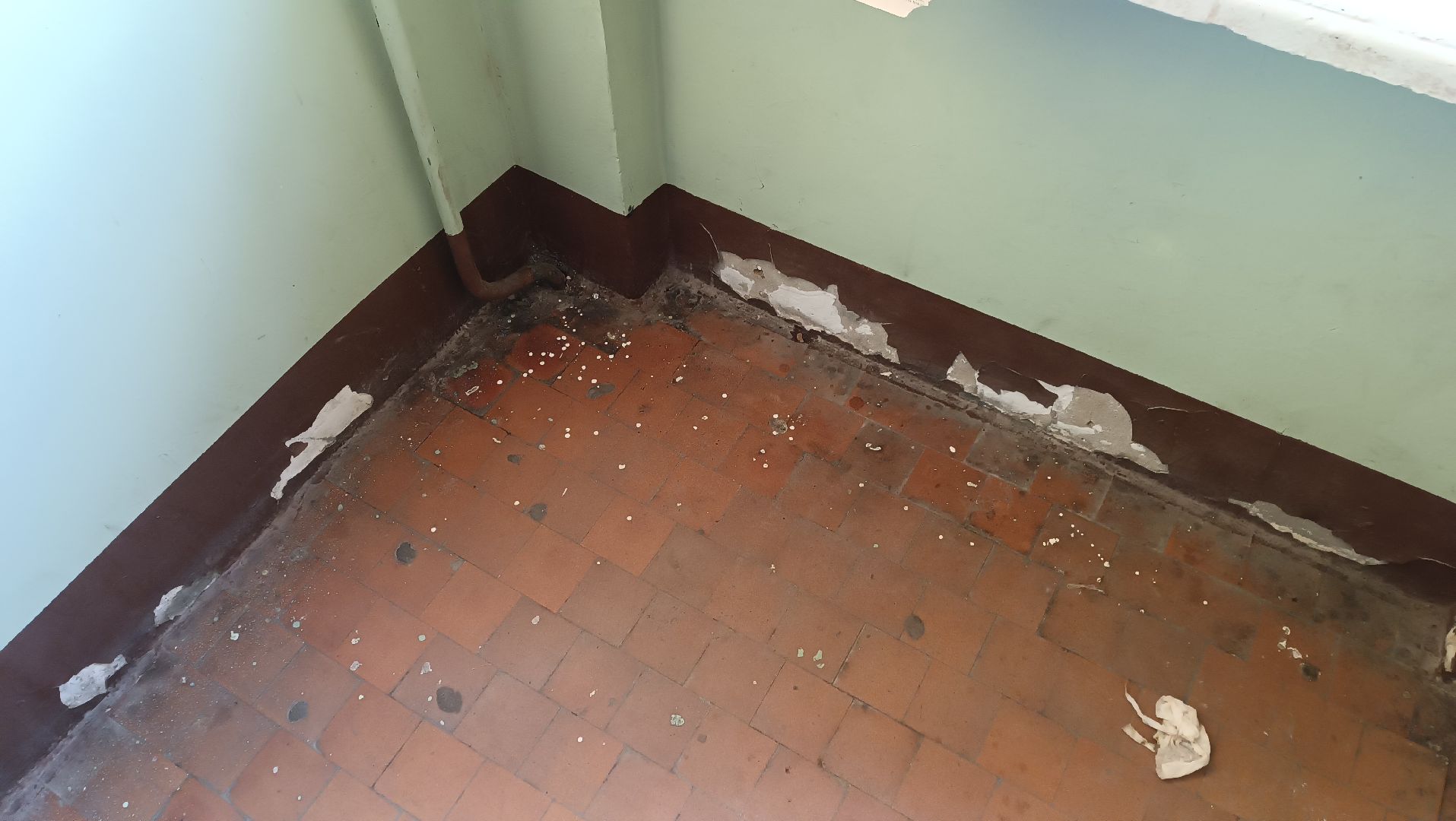 выездная администиация, подъезд, уборка, монино, вертикалки,