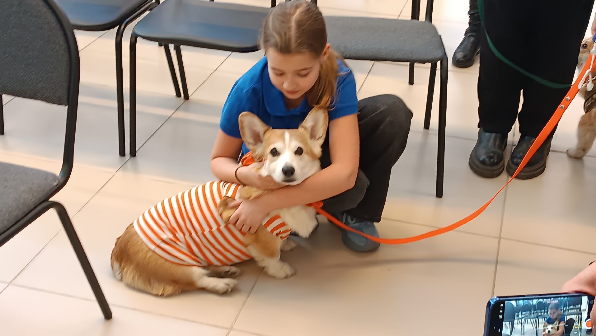 Музей авиации, корги отряд, дети курска, монино, вертикалки,