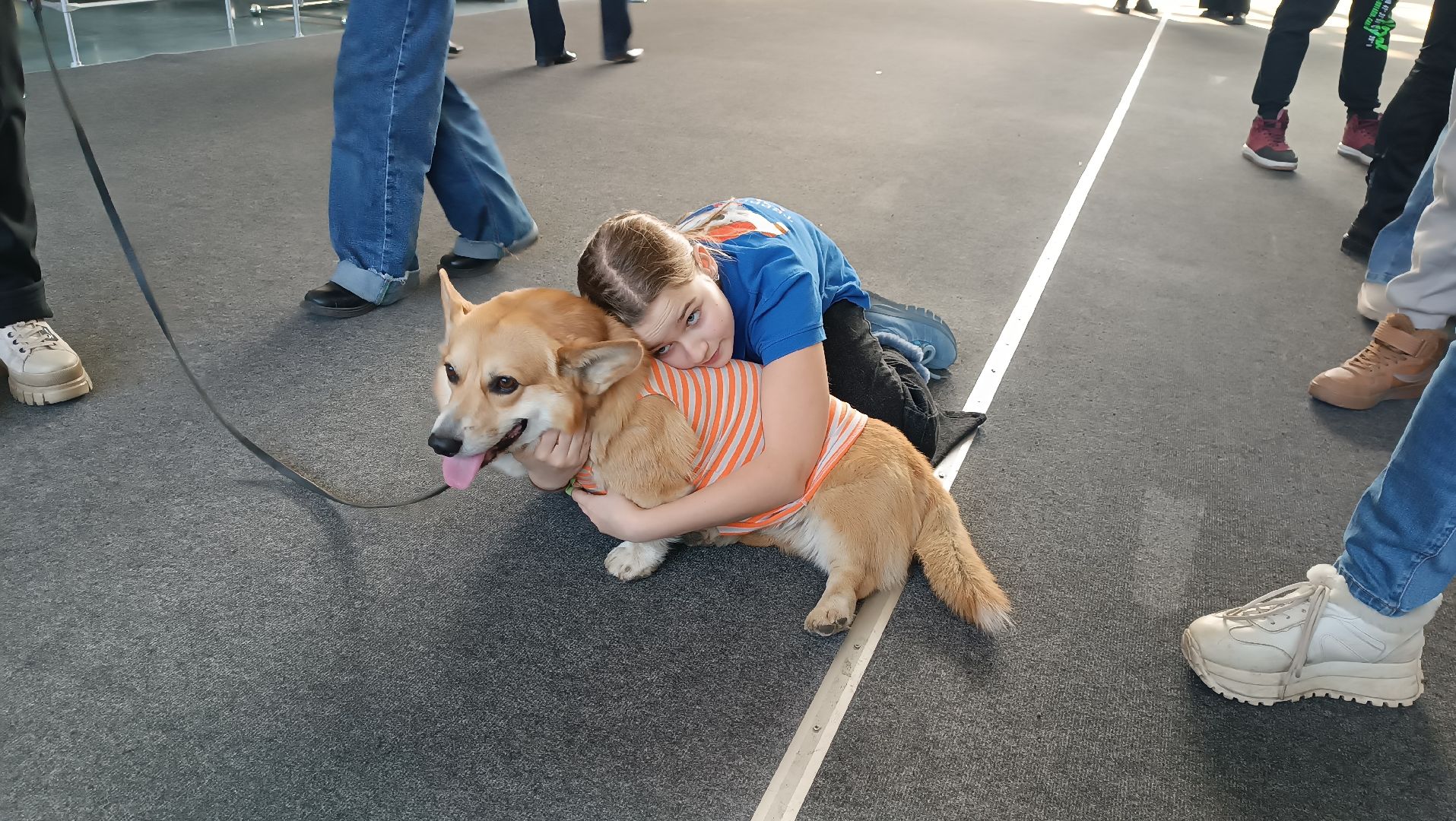 Музей авиации, корги отряд, дети курска, монино, вертикалки,