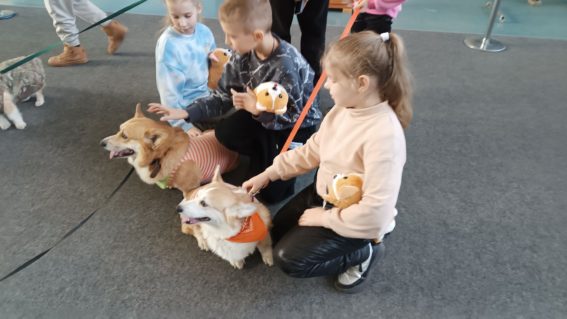 Музей авиации, корги отряд, дети курска, монино, вертикалки,