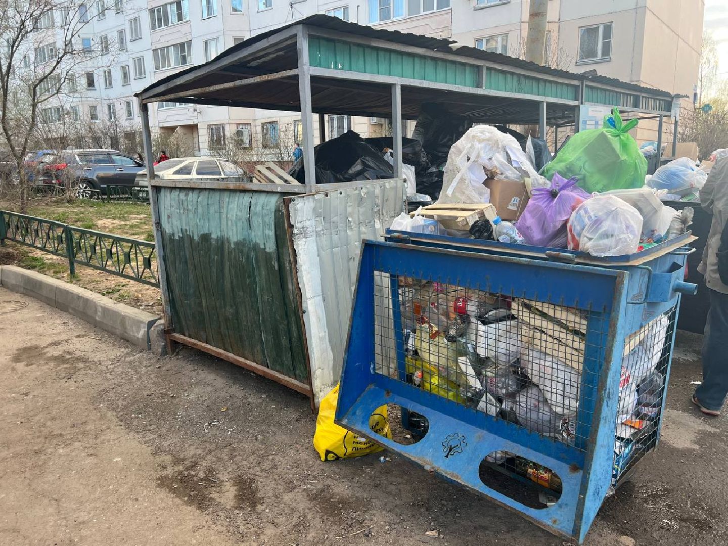 Солнечногорск, благоустройство, контейнеры, порядок, чистота