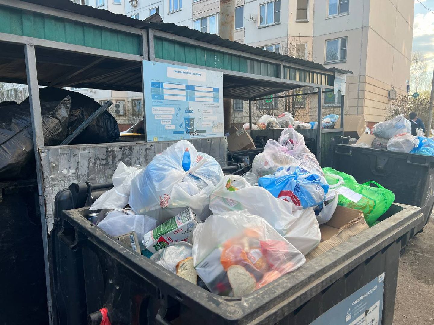 Солнечногорск, благоустройство, контейнеры, порядок, чистота