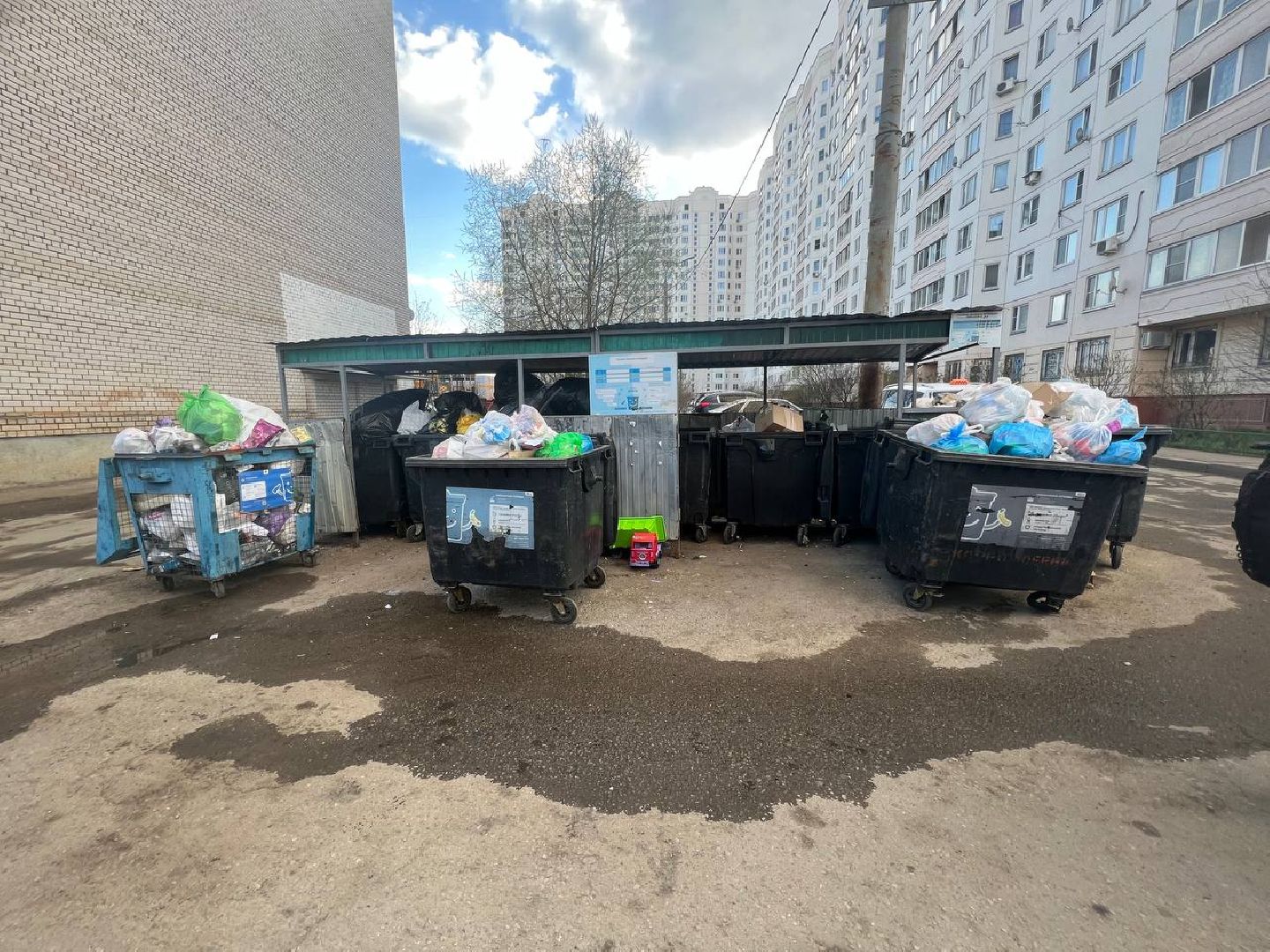 Солнечногорск, благоустройство, контейнеры, порядок, чистота