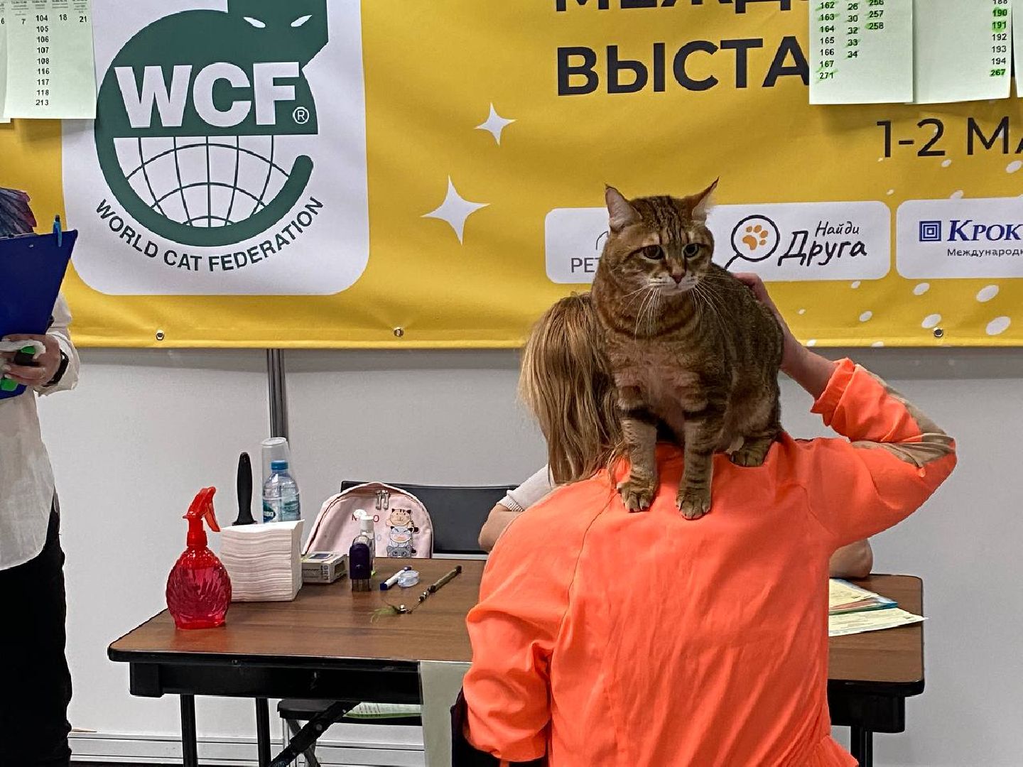 вертикалки, зоофестиваль, выставкаживотных, крокусэкспо, викторияписаренко,