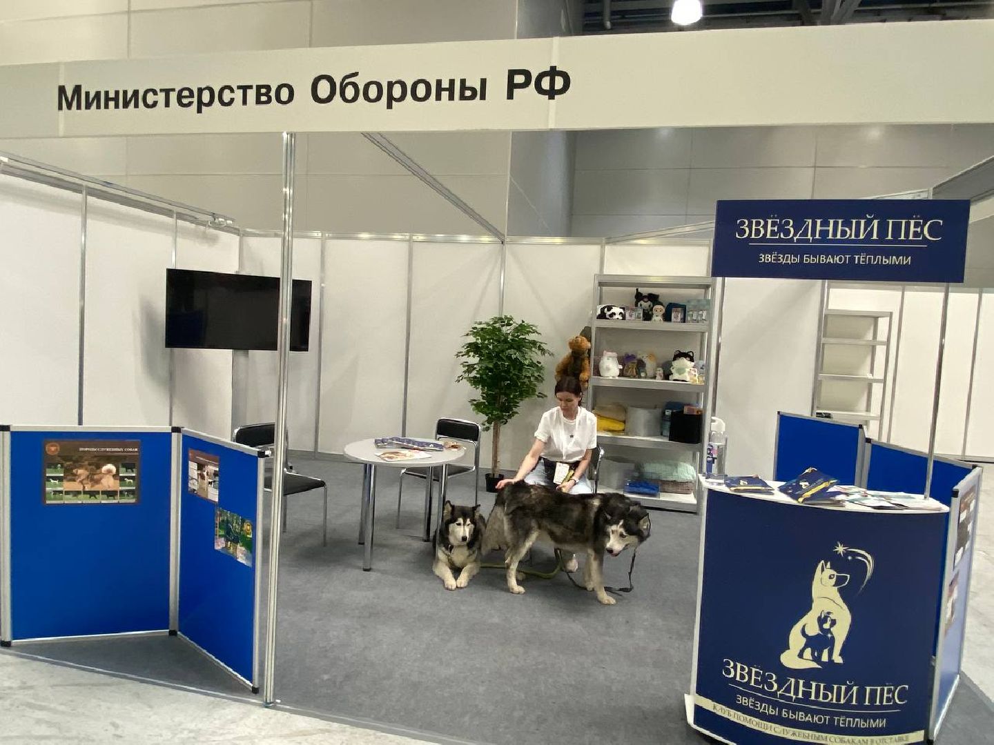 вертикалки, зоофестиваль, выставкаживотных, крокусэкспо, викторияписаренко,