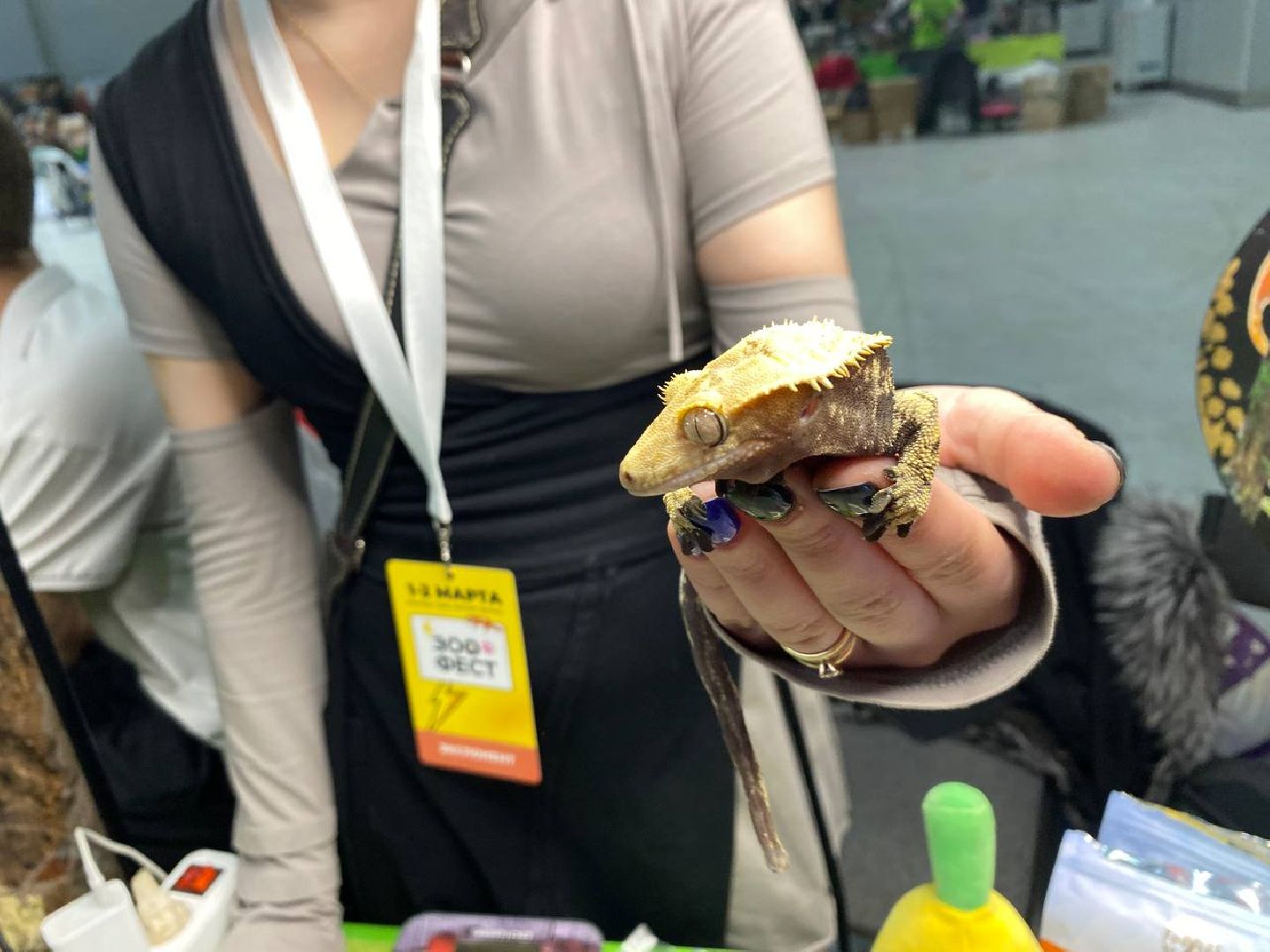 вертикалки, зоофестиваль, выставкаживотных, крокусэкспо, викторияписаренко,