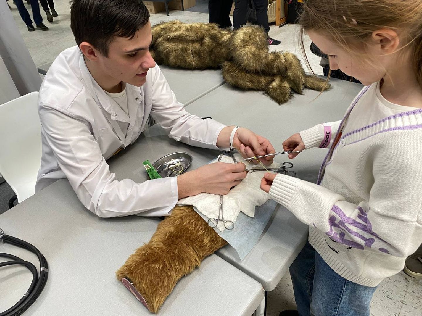 вертикалки, зоофестиваль, выставкаживотных, крокусэкспо, викторияписаренко,