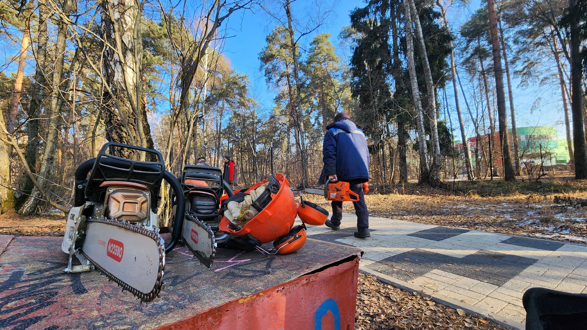 коммунальщики очищают лес, протвино, комбинат благоустройства, вертикалки,