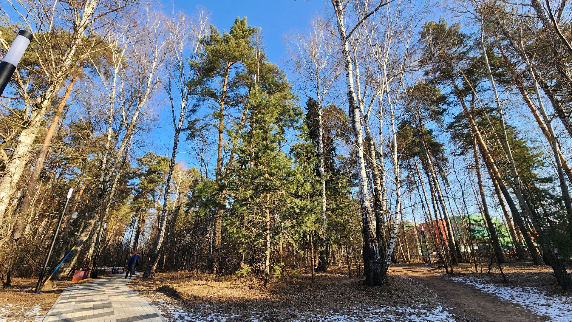 коммунальщики очищают лес, протвино, комбинат благоустройства, вертикалки,