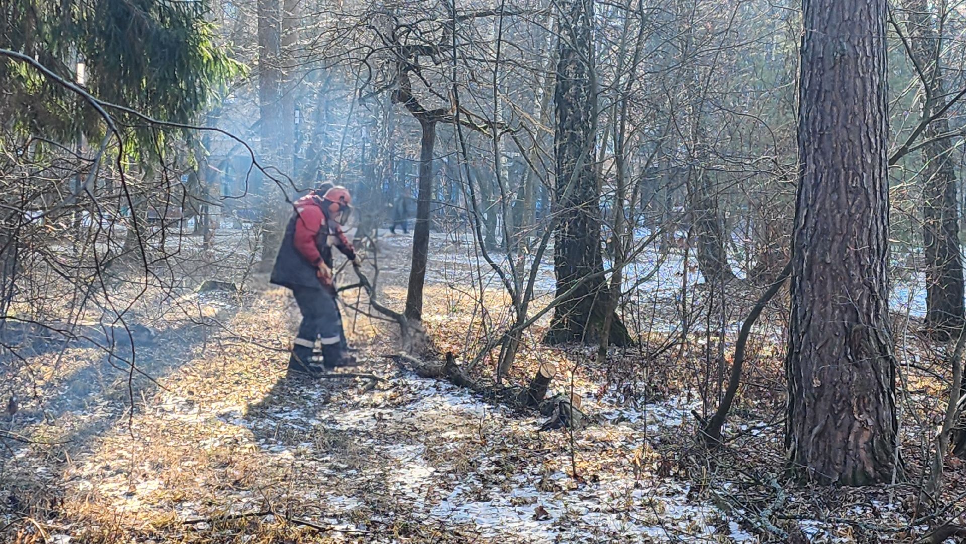 коммунальщики очищают лес, протвино, комбинат благоустройства, вертикалки,