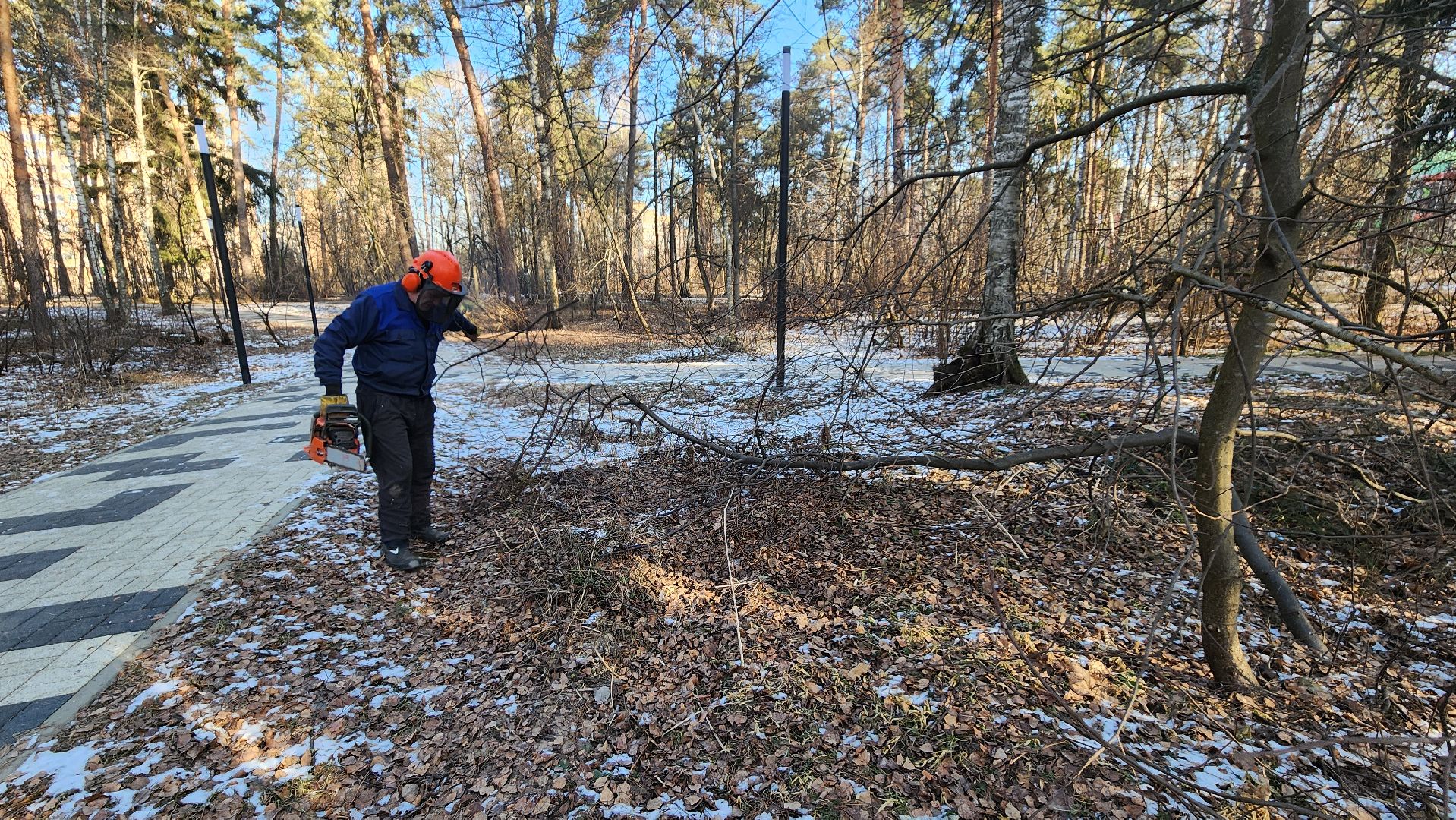 коммунальщики очищают лес, протвино, комбинат благоустройства, вертикалки,