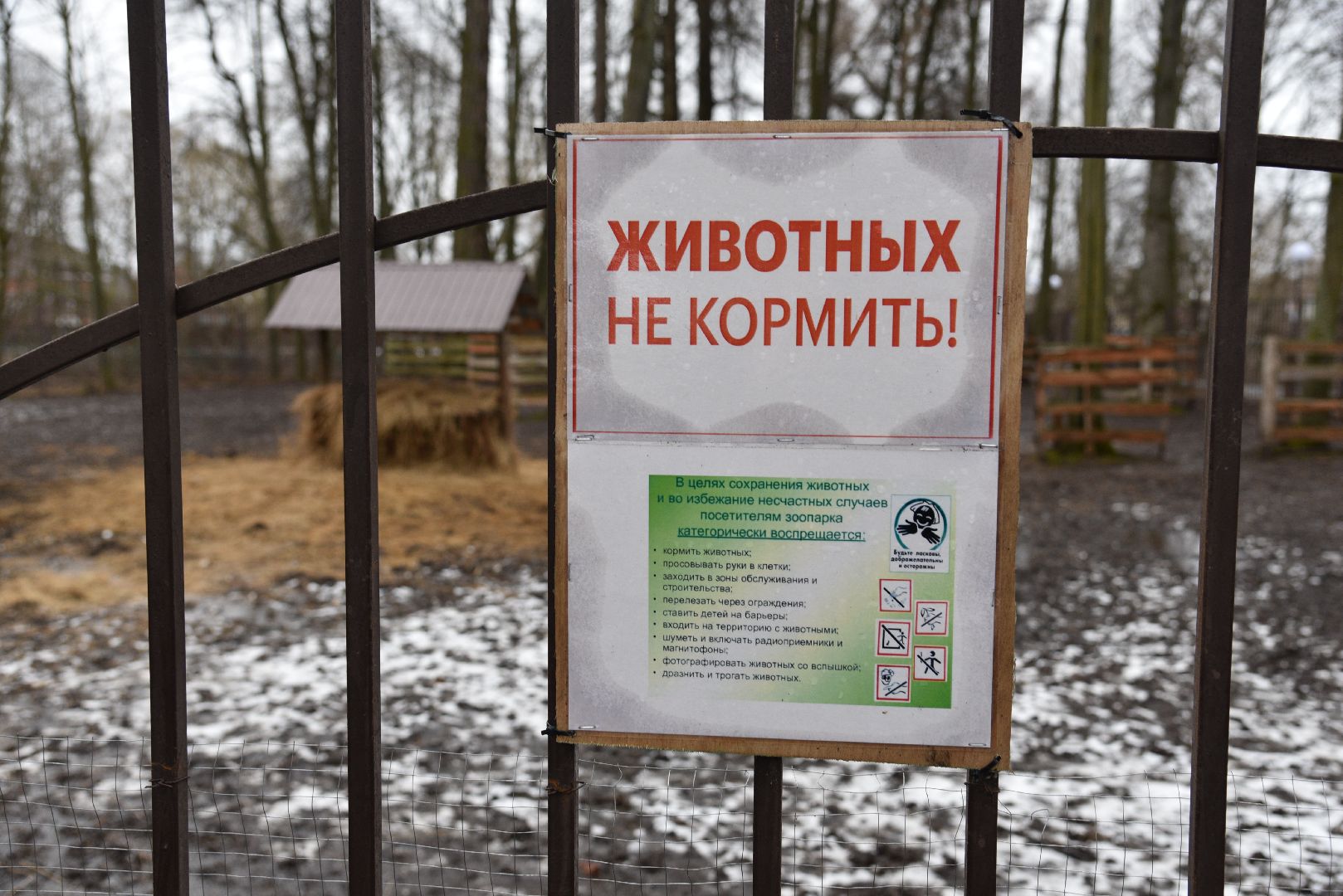 лотошино, лотошинский парк, животные, мини-зоопарк с животными,