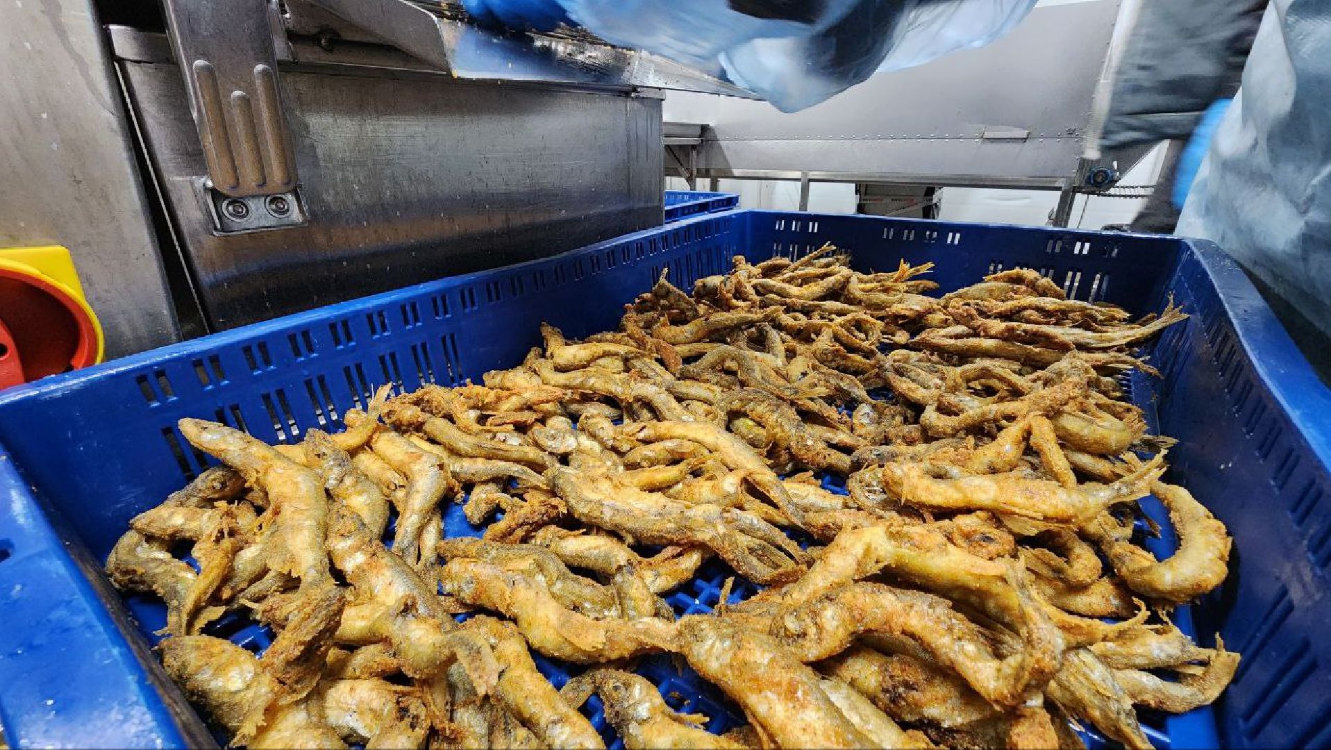 Дмитров, Фуд Тим, Мининвест, Фонд поддержки внешнеэкономической деятельности,