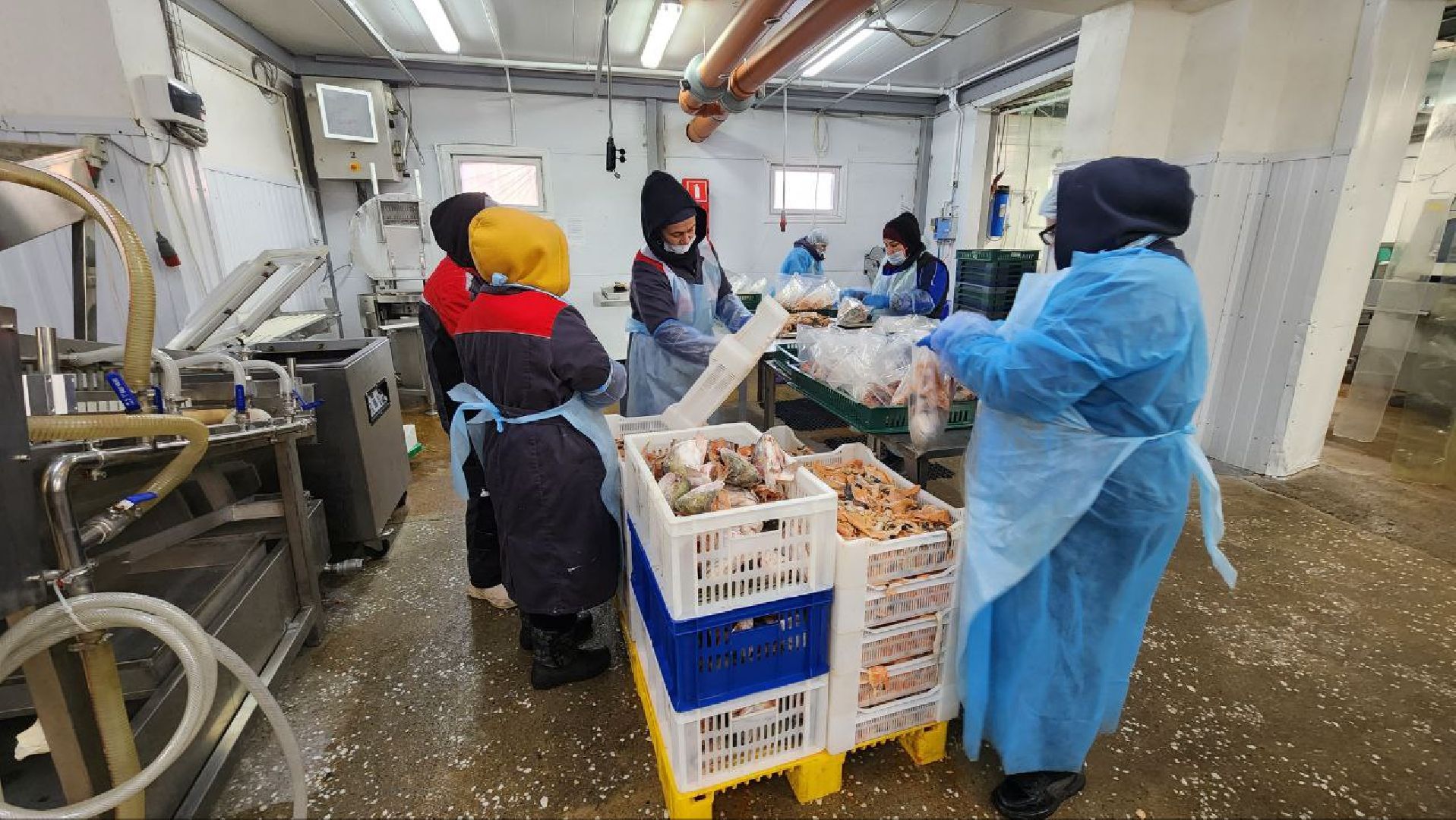 Дмитров, Фуд Тим, Мининвест, Фонд поддержки внешнеэкономической деятельности,