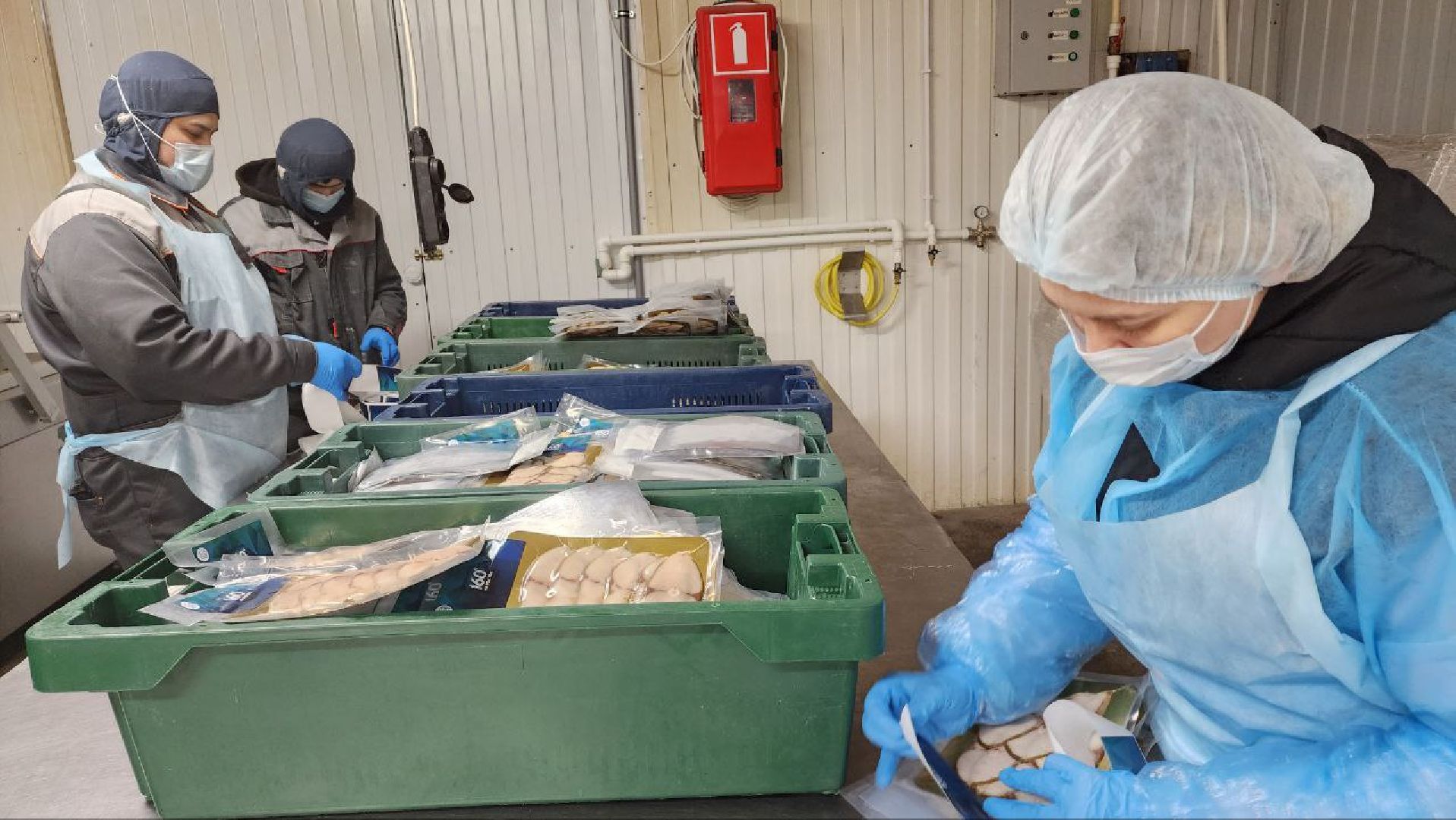 Дмитров, Фуд Тим, Мининвест, Фонд поддержки внешнеэкономической деятельности,