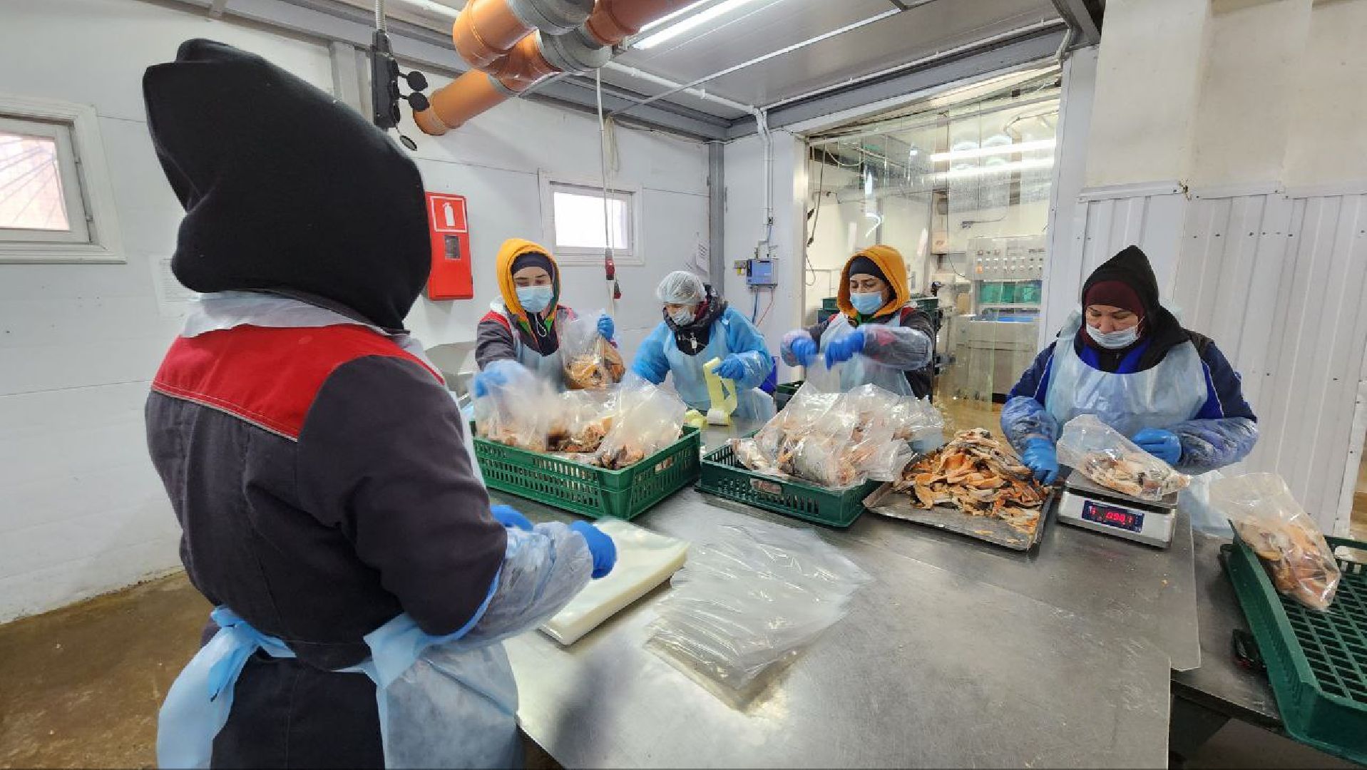 Дмитров, Фуд Тим, Мининвест, Фонд поддержки внешнеэкономической деятельности,