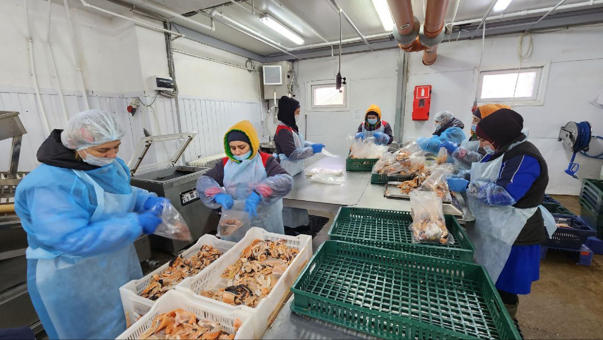 Дмитров, Фуд Тим, Мининвест, Фонд поддержки внешнеэкономической деятельности,