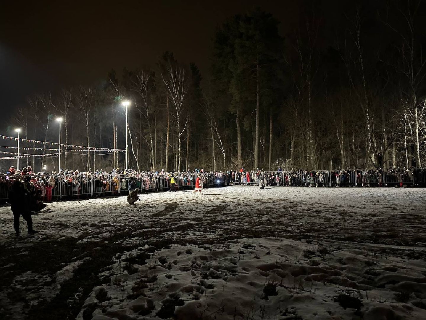 вертикакли,масленица, домодедедово,