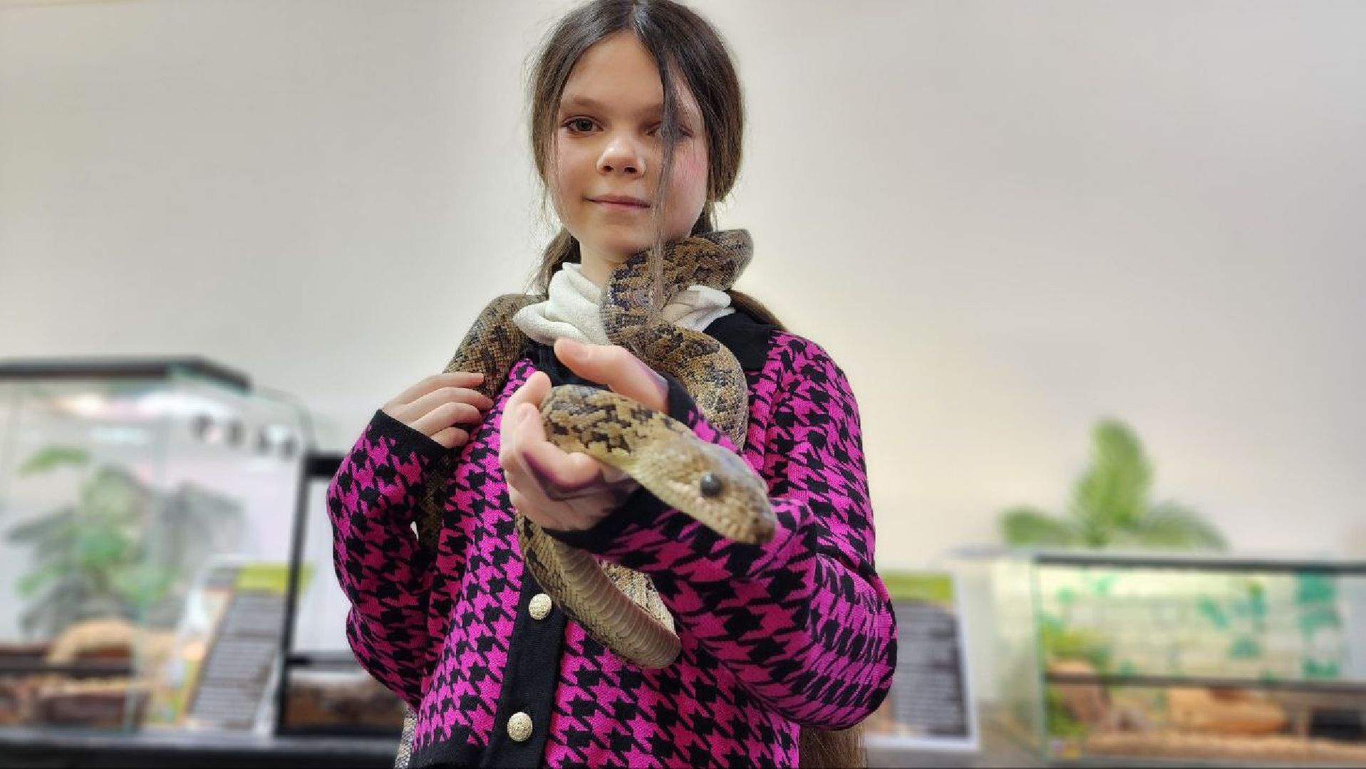 Дмитров, Проводы зимы, Масленица, Зооферма Шихово, вертикалки,