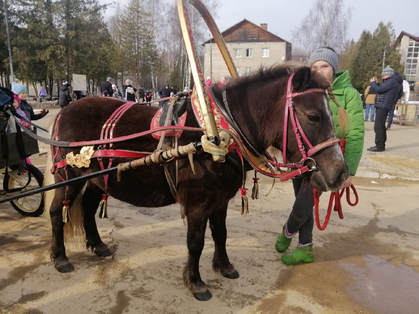 масленица, городской округ восход, блины, чучело, проводы зимы, вертикалки,