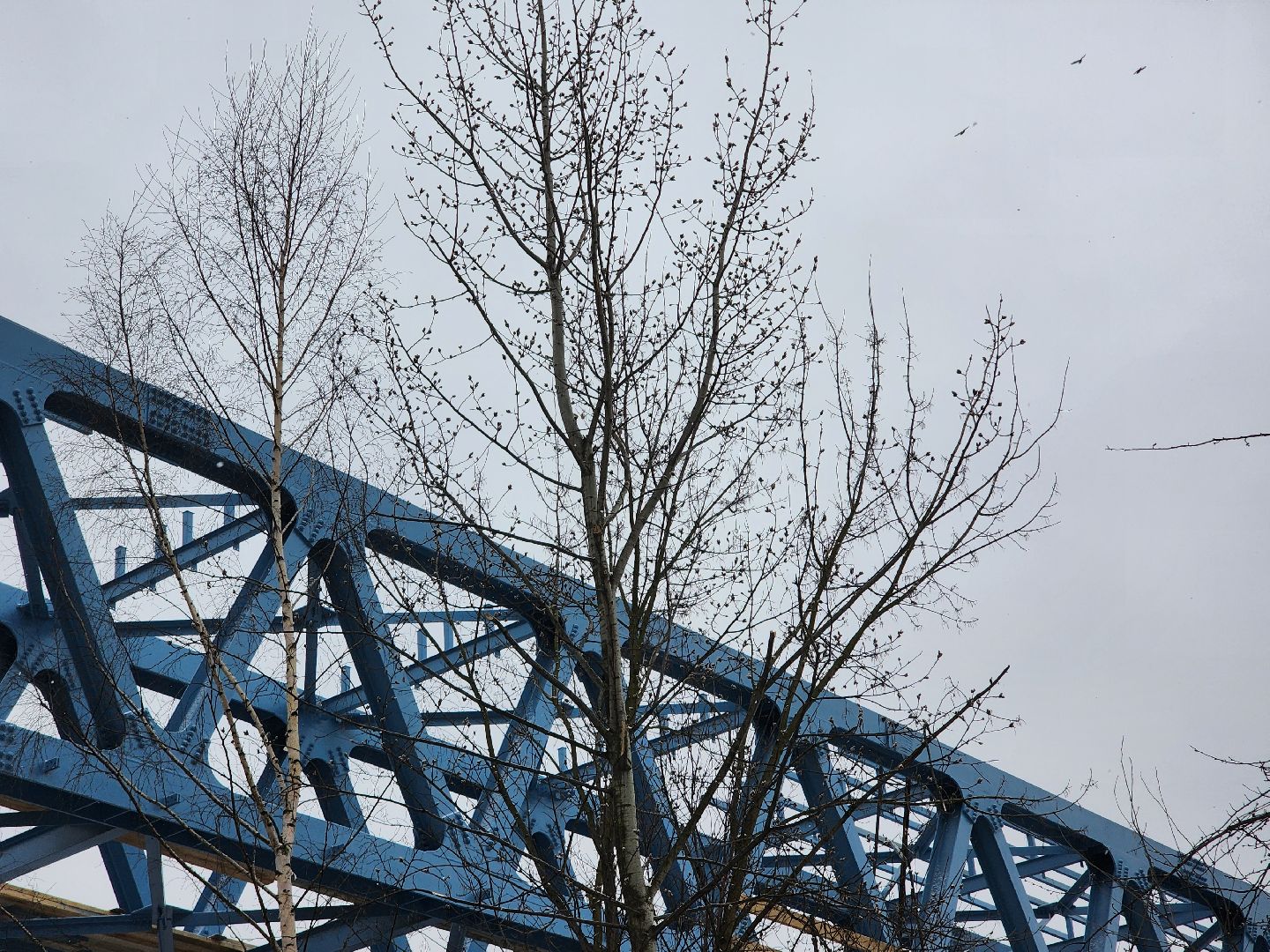 Строительство, Переход, Железная дорога, вертикалки,