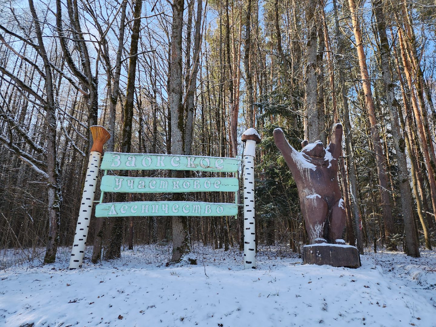 серпухов, подмосковье, русский лес, эталоны елей,