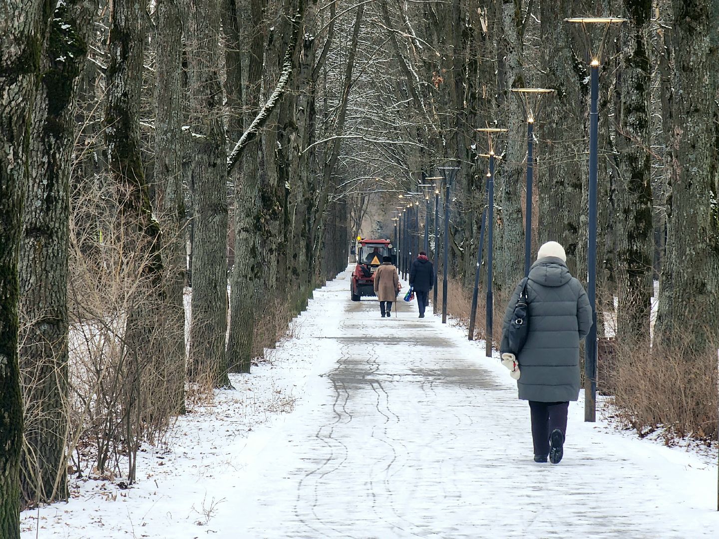 пущино, серпухов, уборка, вертикалки,