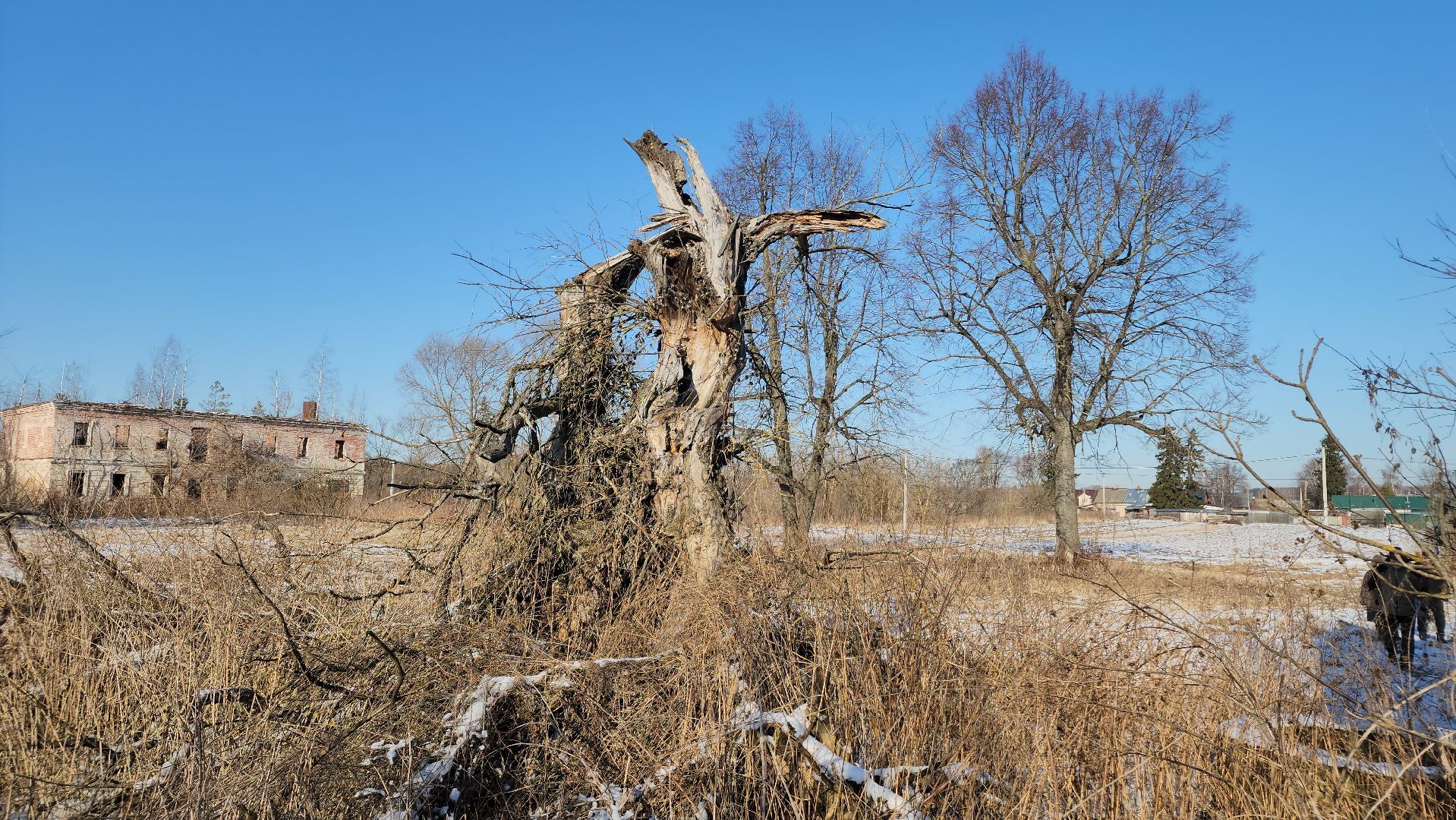 ступино, история, образование,