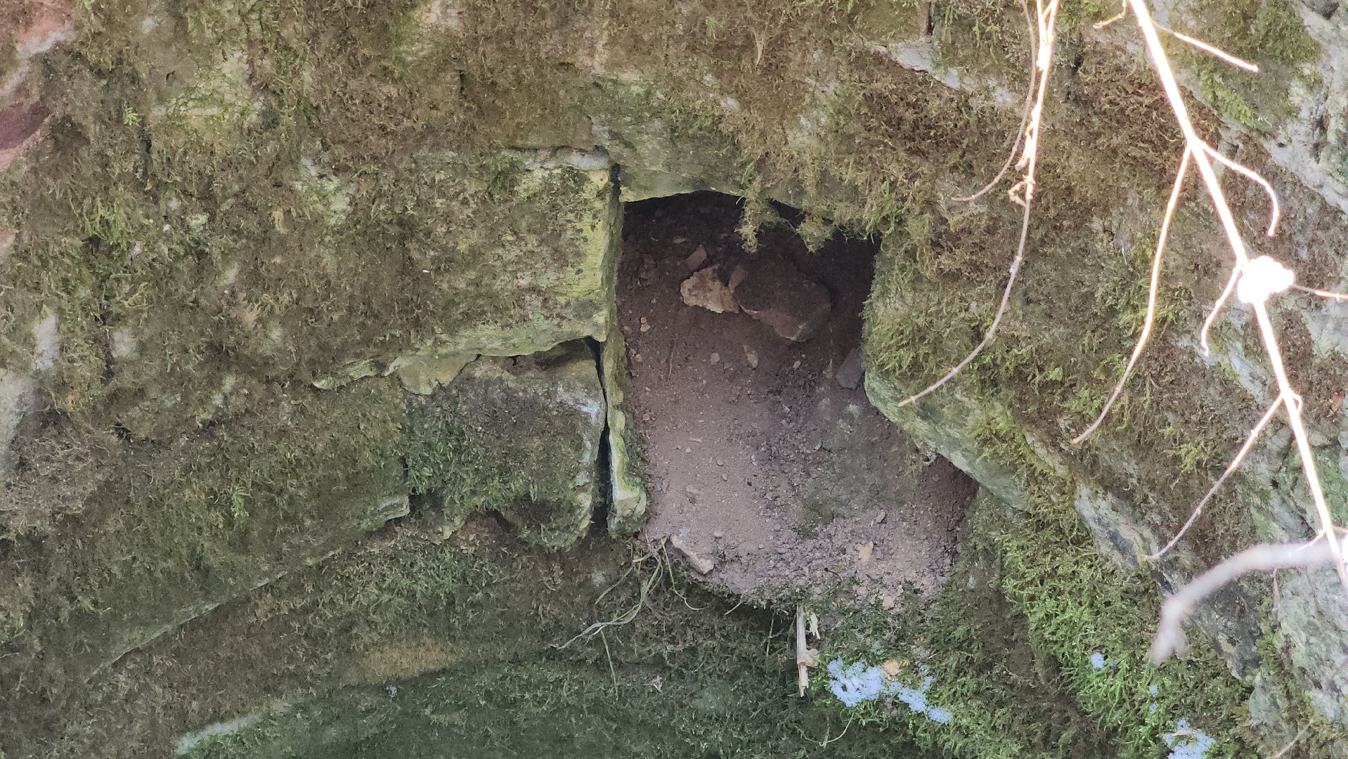 ступино, история, образование,