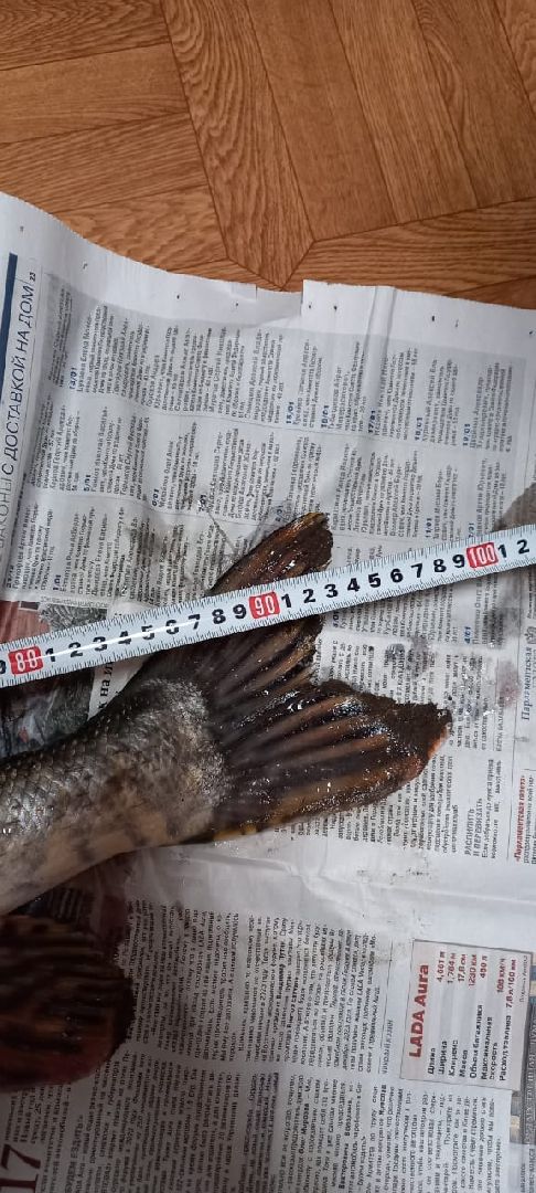 женщина-рыбачка, серебряные пруды, супер улов, щука,