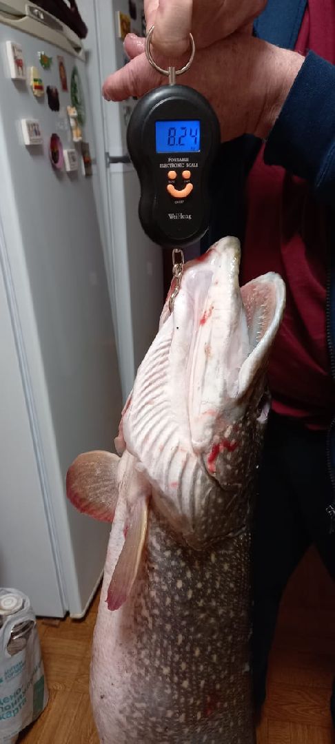 женщина-рыбачка, серебряные пруды, супер улов, щука,