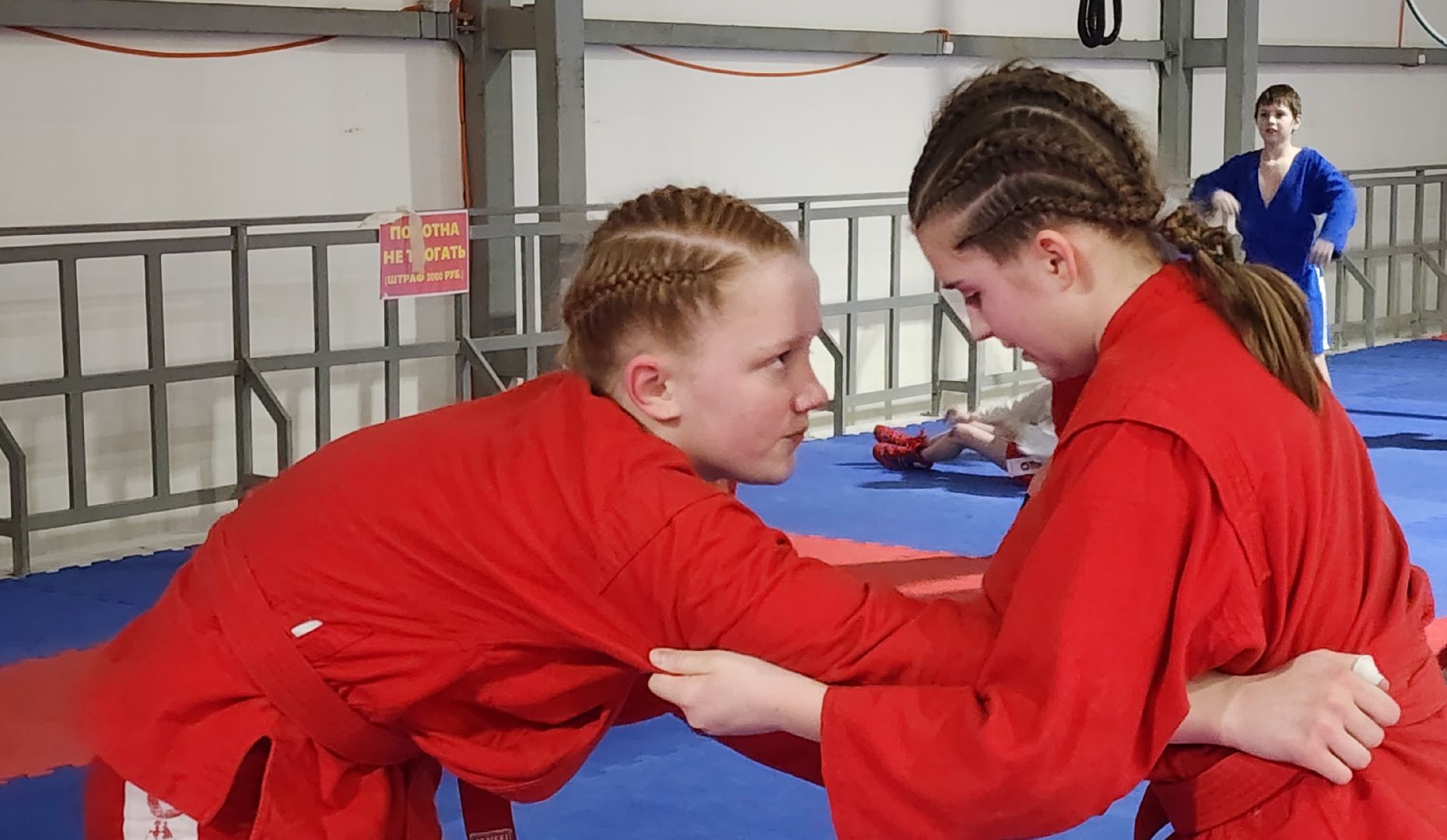 спорт, общество, бесплатные занятия,