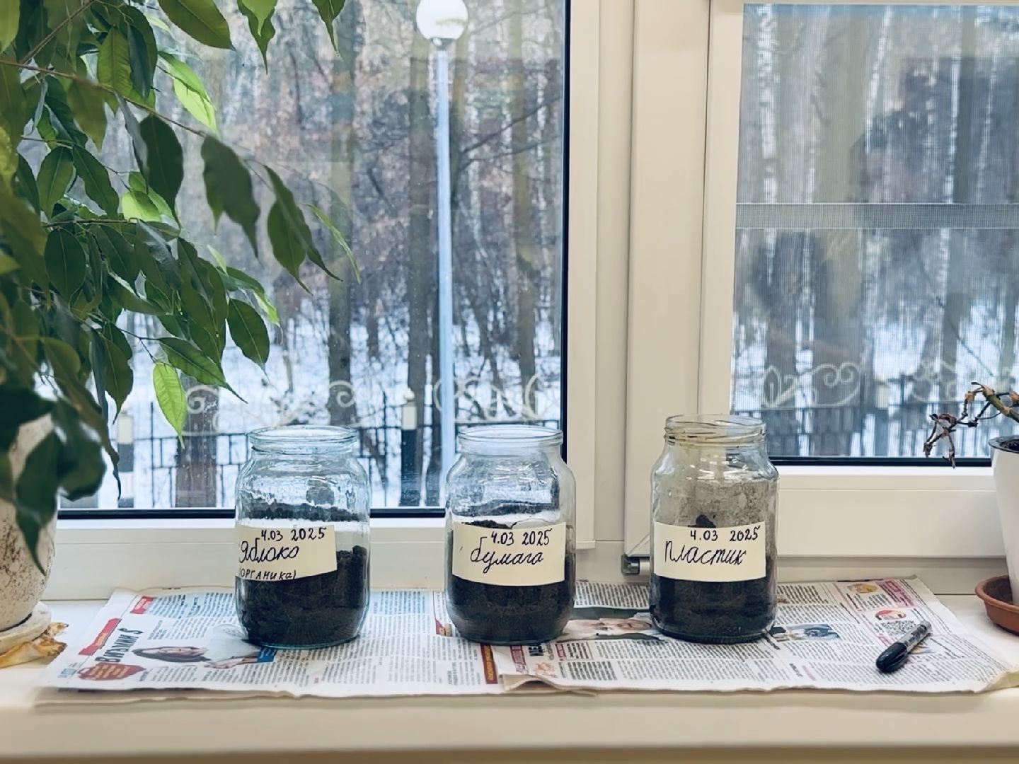 раменское, экология, портрет, 8 марта,