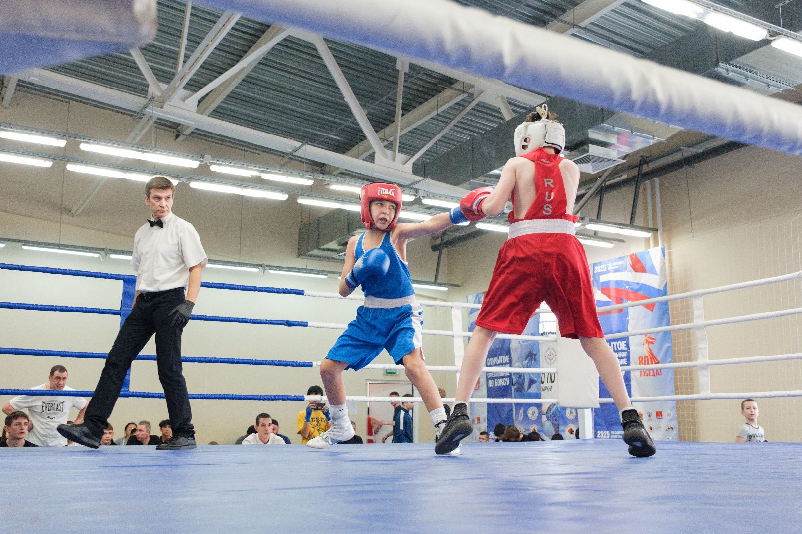 спорт, лыткарино, бокс, лебзяк, олимпийские чемпионы, вертикалки,