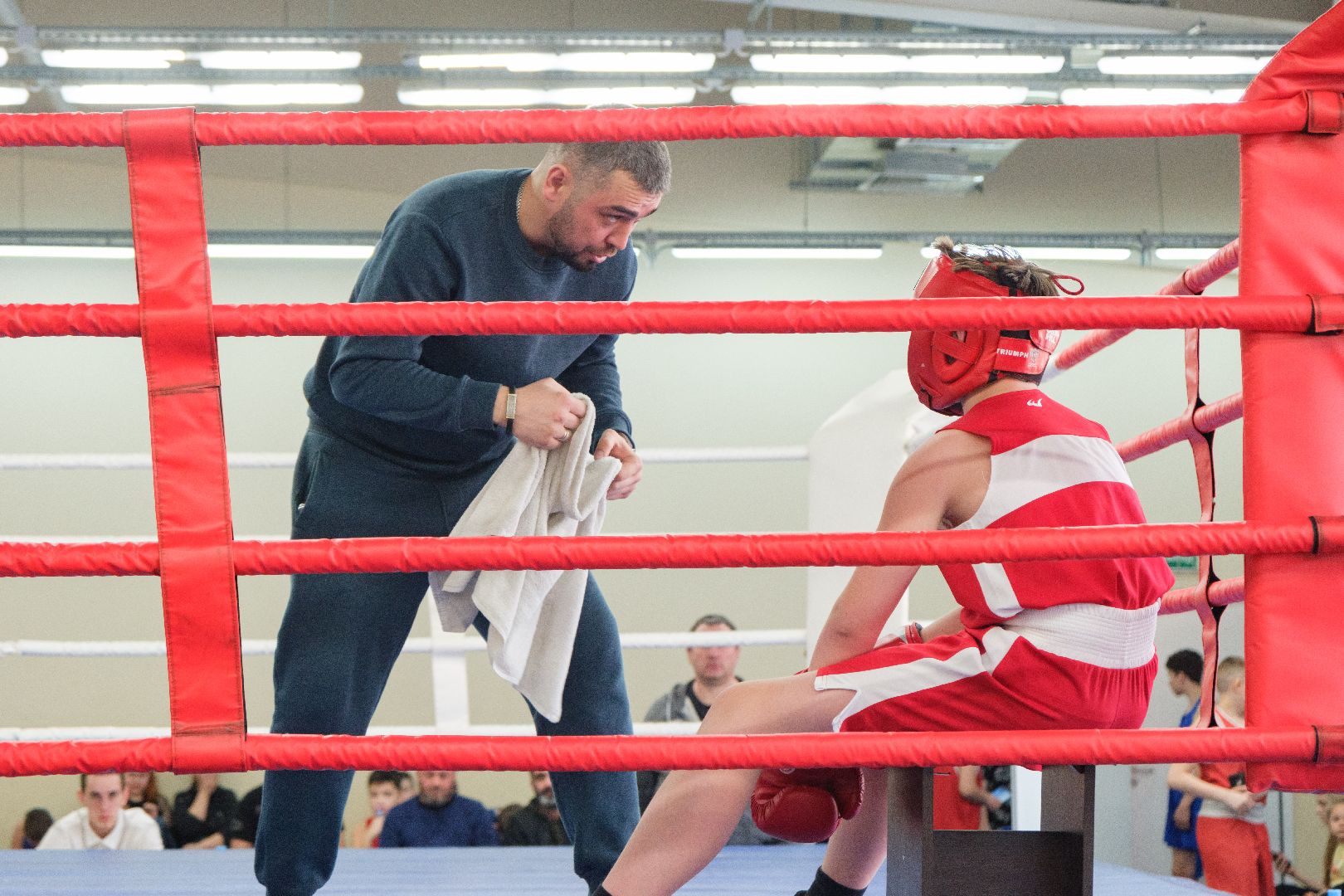 спорт, лыткарино, бокс, лебзяк, олимпийские чемпионы, вертикалки,