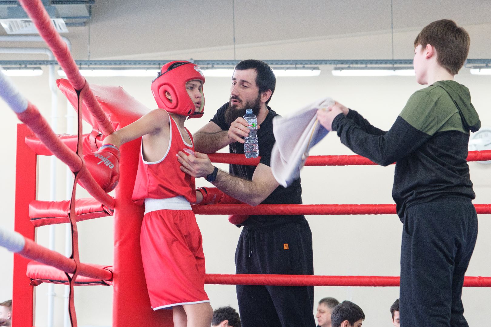 спорт, лыткарино, бокс, лебзяк, олимпийские чемпионы, вертикалки,