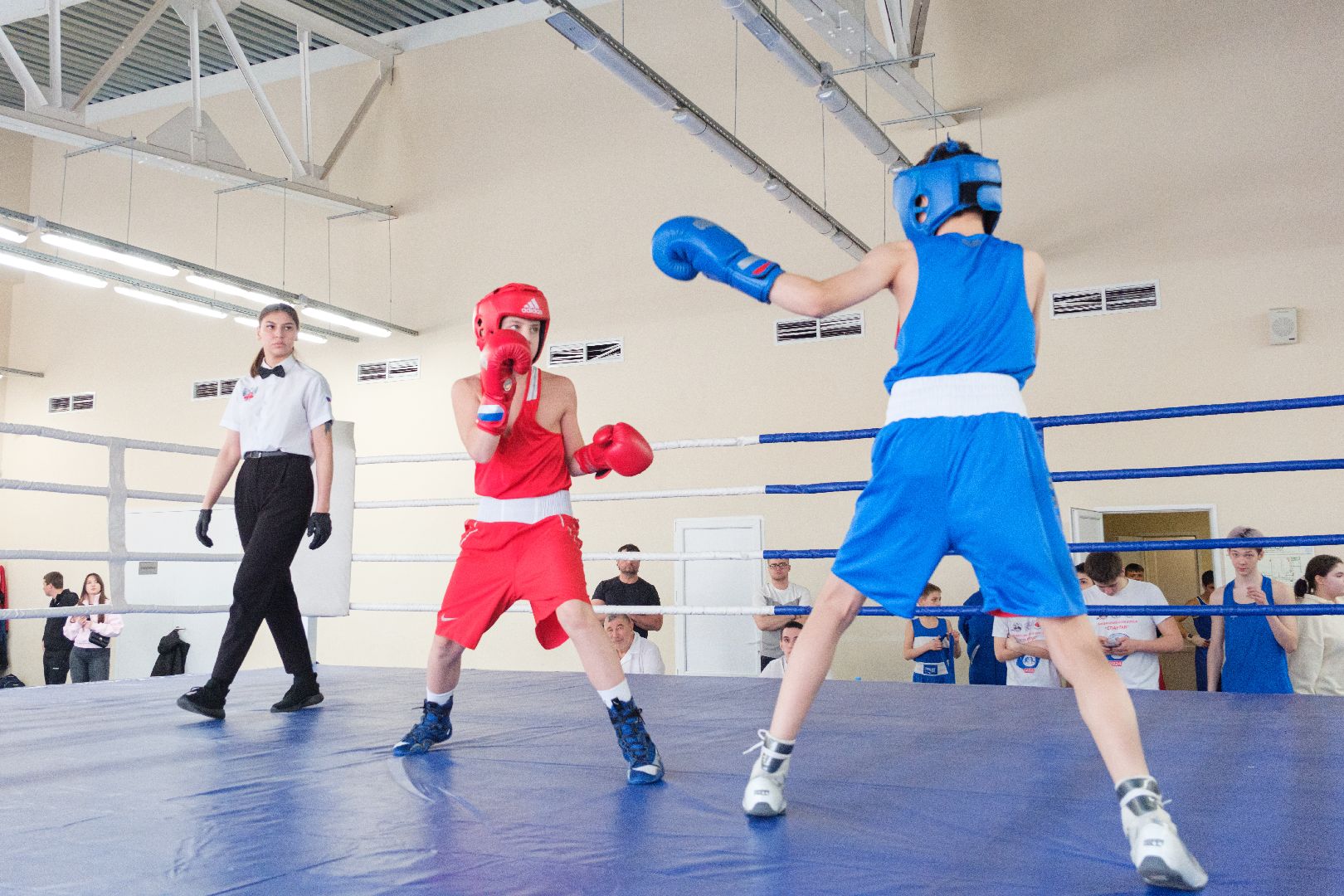 спорт, лыткарино, бокс, лебзяк, олимпийские чемпионы, вертикалки,
