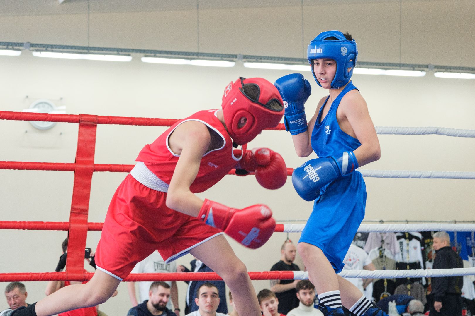 спорт, лыткарино, бокс, лебзяк, олимпийские чемпионы, вертикалки,