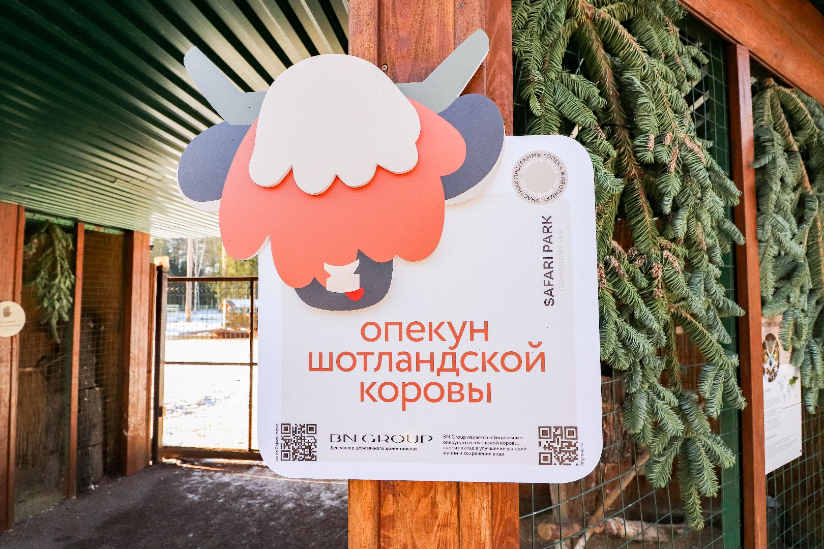 Клин, общество, животные, пополнение семейства, коровы, Подмосковье, вертикалки,