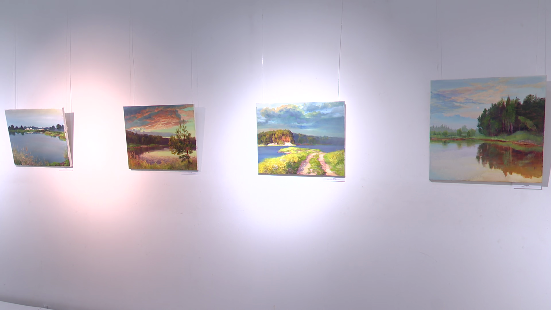 реутов, вертикалки, культура, выставка, музей, Владислава Гарбузова,