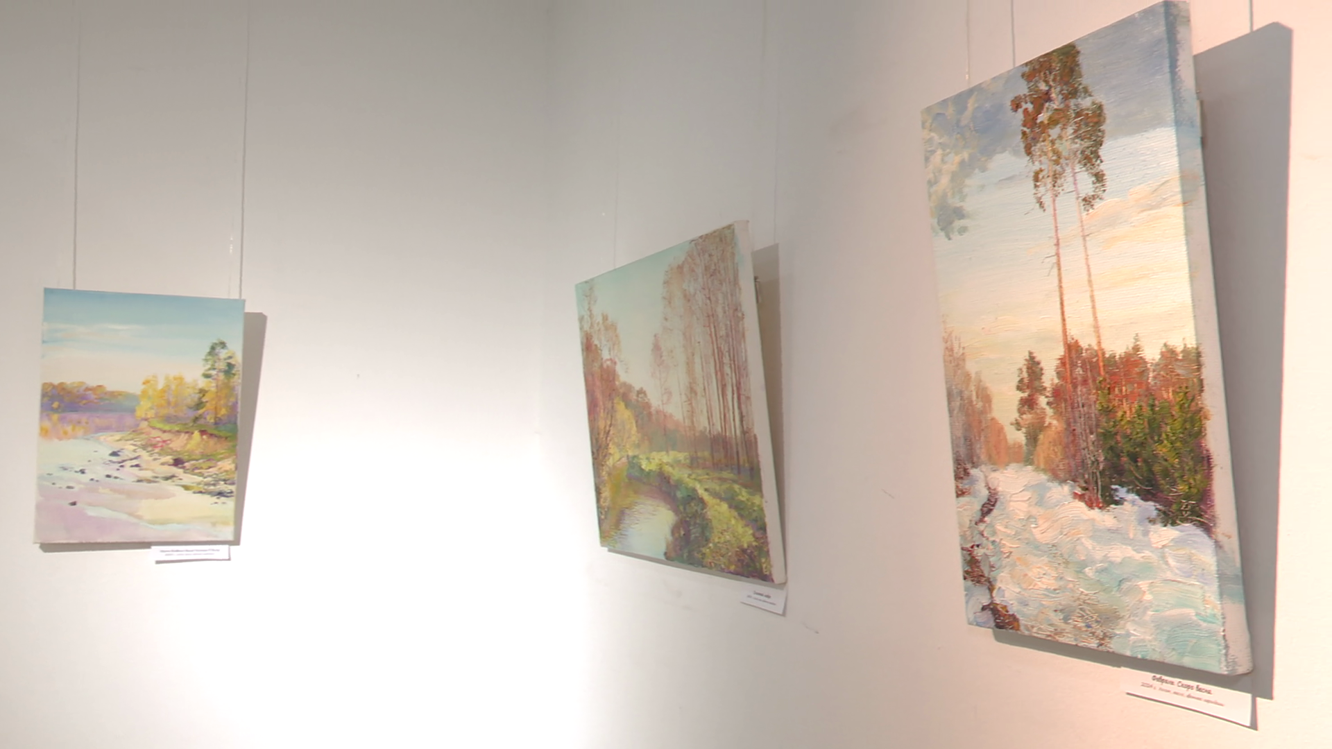 реутов, вертикалки, культура, выставка, музей, Владислава Гарбузова,