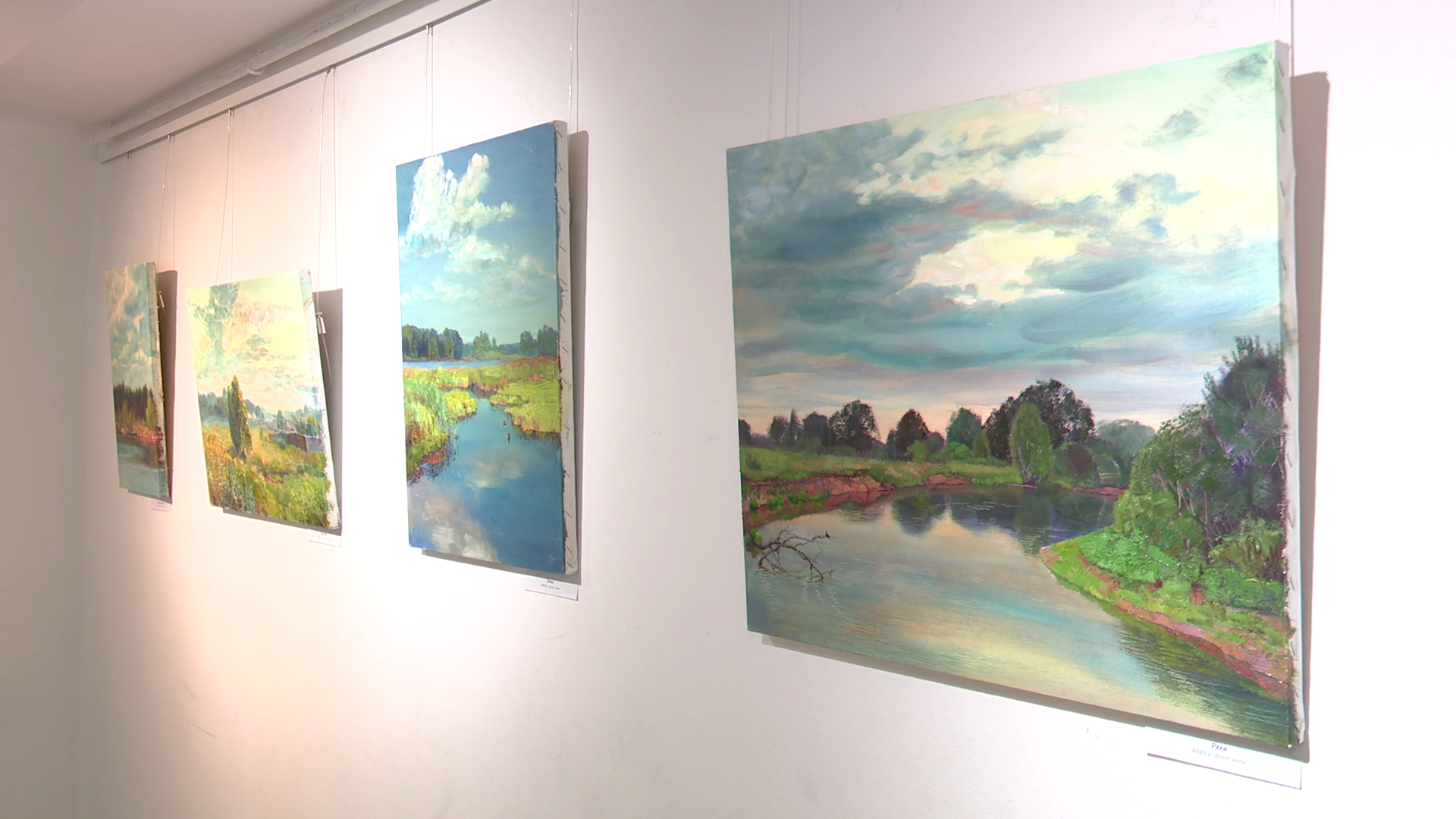 реутов, вертикалки, культура, выставка, музей, Владислава Гарбузова,