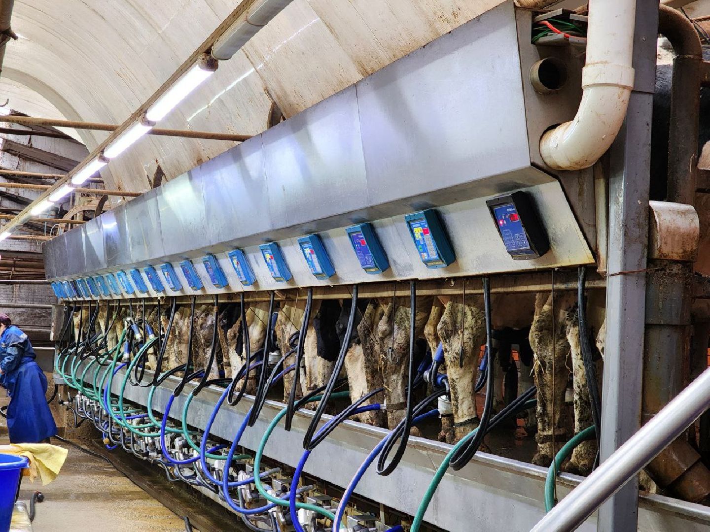 Горизонталки, Портретка, Луховицы, Животноводство,