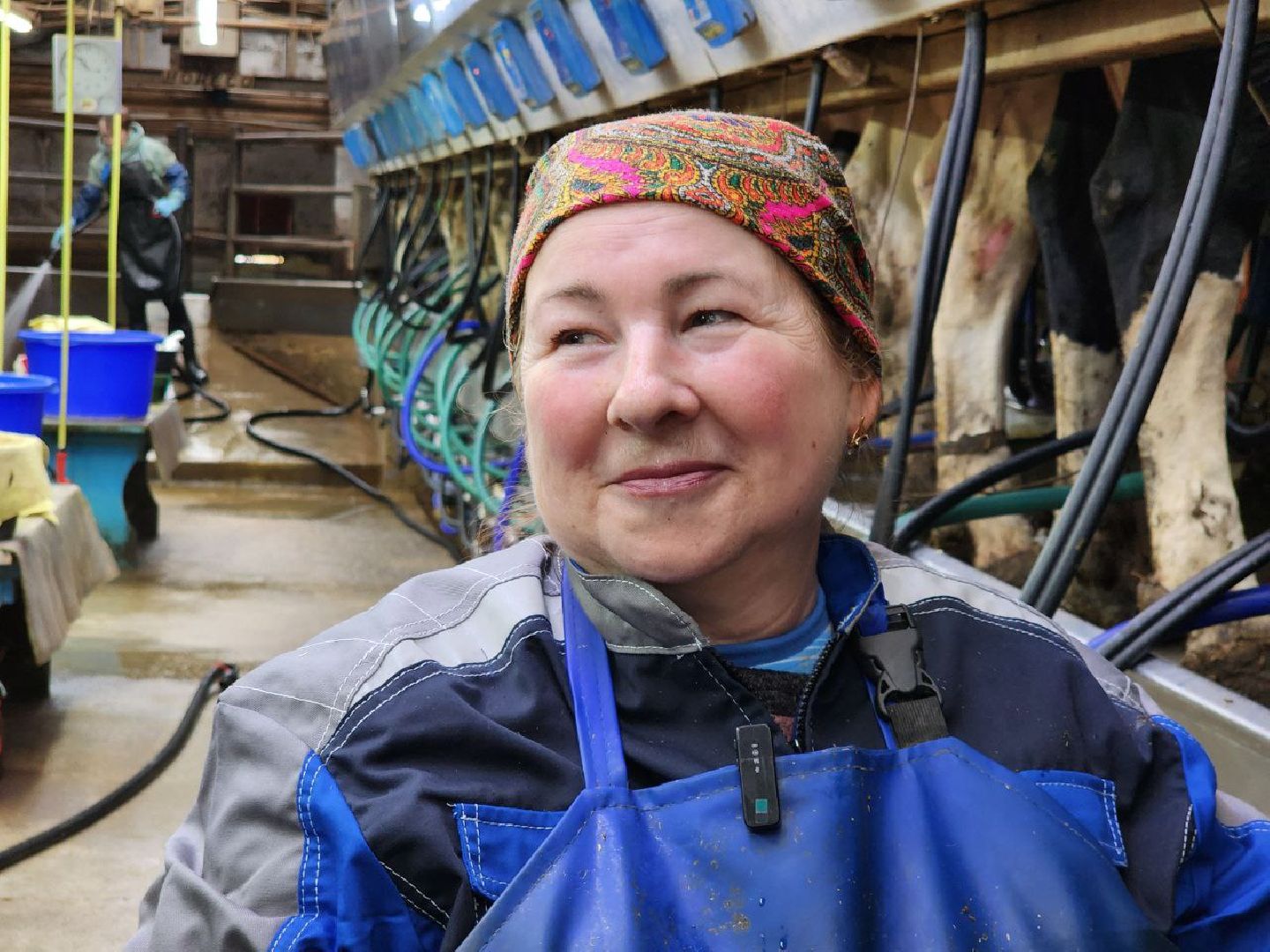 Горизонталки, Портретка, Луховицы, Животноводство,