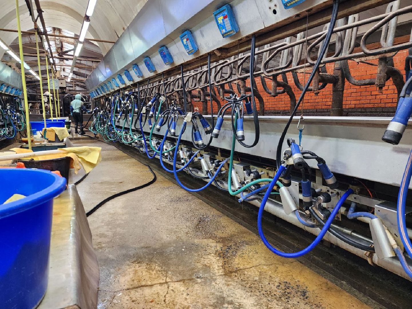 Горизонталки, Портретка, Луховицы, Животноводство,