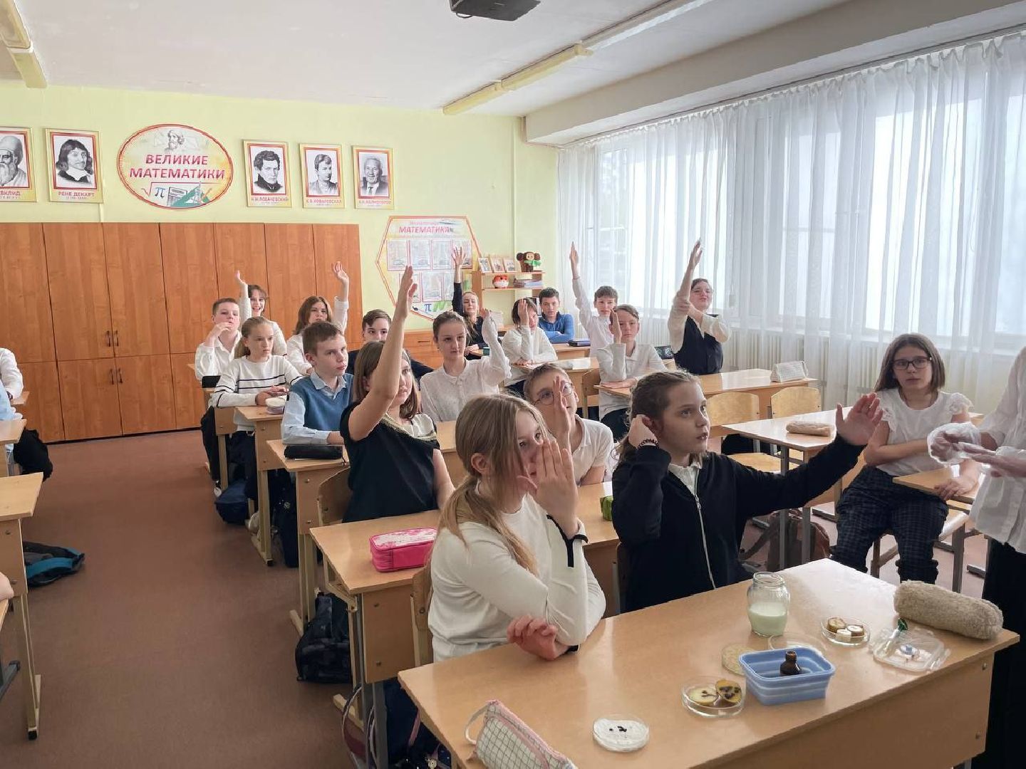 лыткарино, 7 гимназия лыткарино, ольга плечий, мирное образование, конфликтология, разрешение конфликтов, вертикалки,