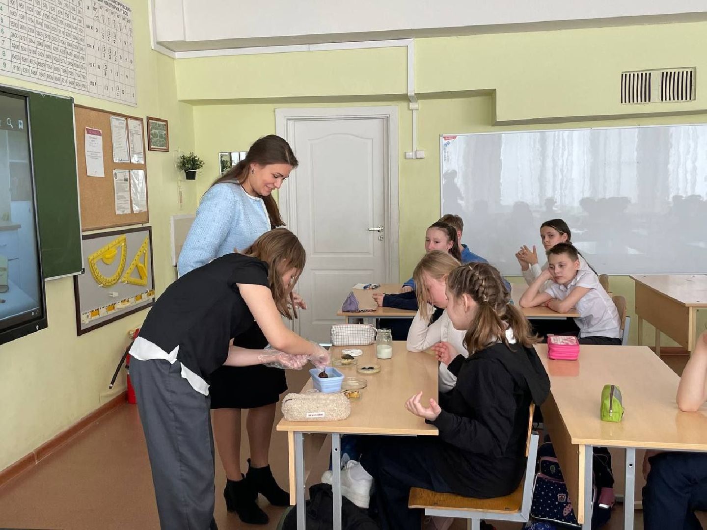 лыткарино, 7 гимназия лыткарино, ольга плечий, мирное образование, конфликтология, разрешение конфликтов, вертикалки,