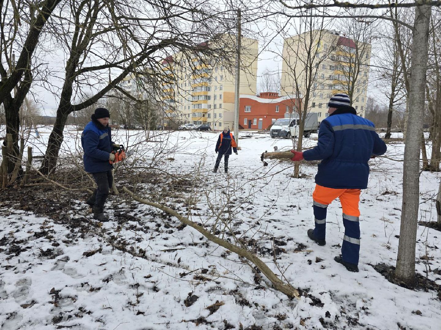 можайск, можайский муниципальный округ, подмосковье, жкх, уборка аварийных деревьев, сухостой, коммунальщики,